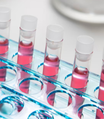 Laboratori di Analisi